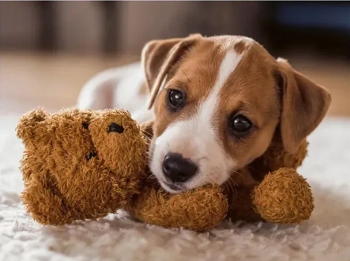 Ravensburger puzzle Hřejivé objetí 500 dílků