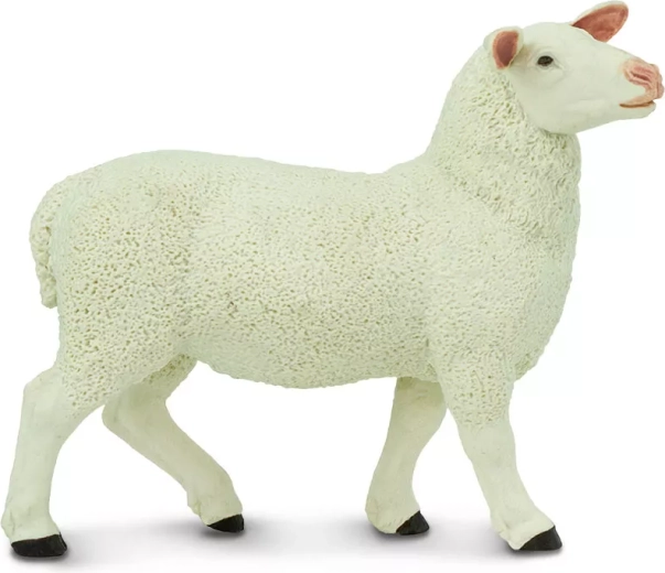 Safari Ltd. ovečka figurka - 1 kus