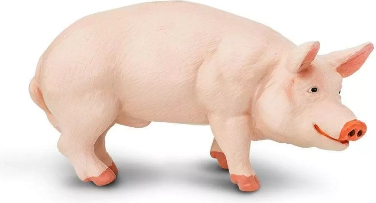Figurka kaneček (prase domácí) Safari Ltd.