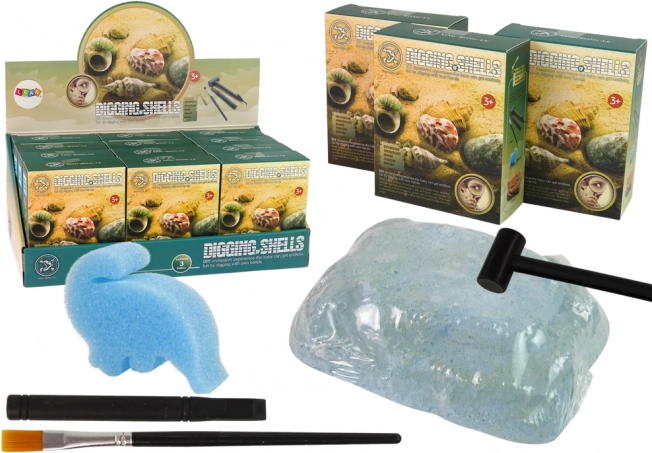 Archeologický set – vykopávky mušlí, 3 modely překvapení
