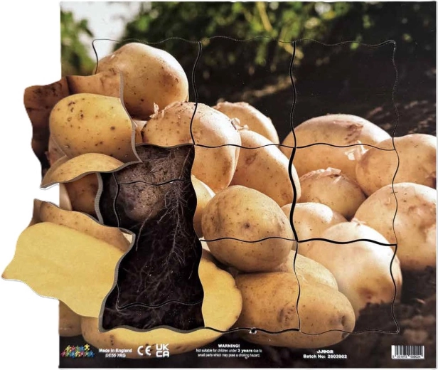 Just Jigsaws Brambora a její vegetativní růstové fáze – dřevěné vrstvené puzzle 19 dílů