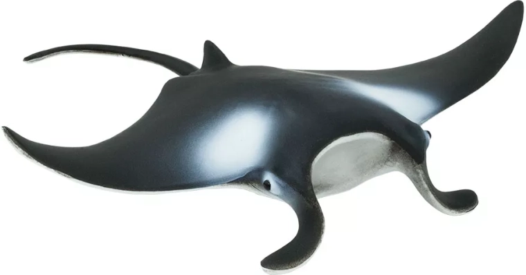 Figurka manta obrovská Safari Ltd. - 1 kus