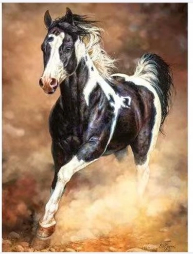 Norimpex Malování podle čísel kůň cválající v písku 40 × 50 cm