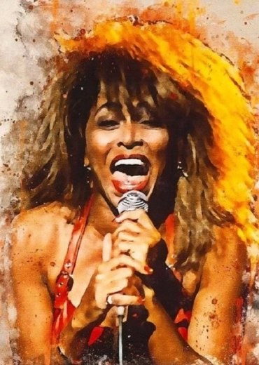 Norimpex diamantové malování Tina Turner zpívá 30 × 40 cm