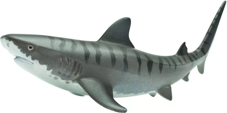 Safari Ltd. žralok tygří figurka - 1 kus