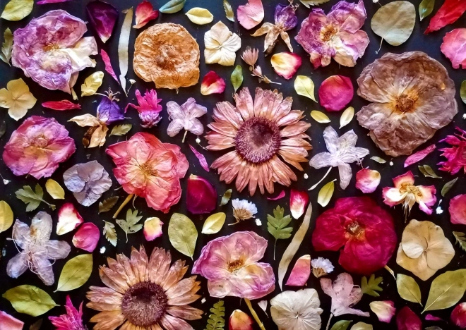 Enjoy puzzle růžová 1000 dílků