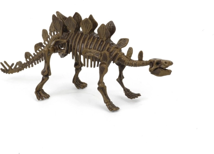 Archeologická sada 3D Stegosaurus