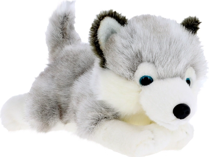 Plyšové štěně husky 30 cm KEEL TOYS Signature Forever