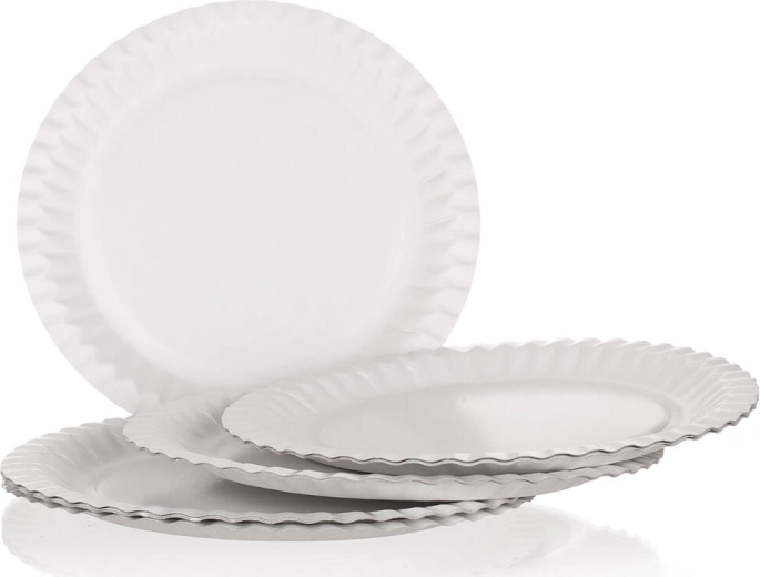 Papírové talíře MY PARTY 23 cm (12 ks)