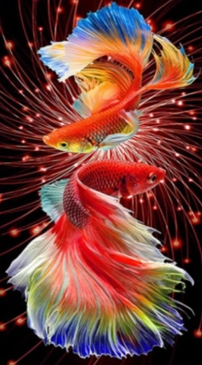 Diamantové malování Červené rybky 30 × 40 cm