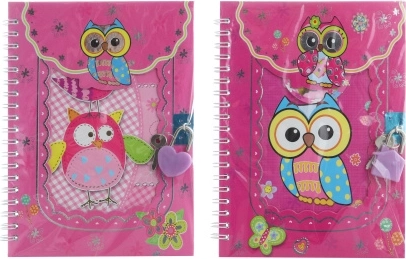 Zápisník na klíček se sovičkami 13 × 18 cm