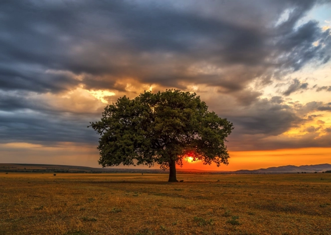 Puzzle Soumrak 1000 dílků ENJOY