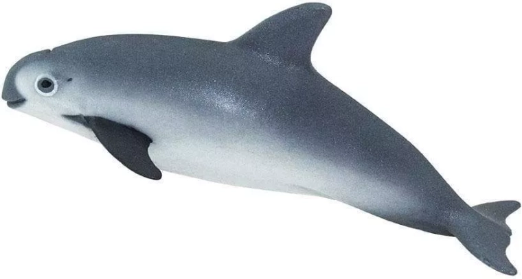 Safari Ltd. figurka sviňuchy kalifornské - 1 kus