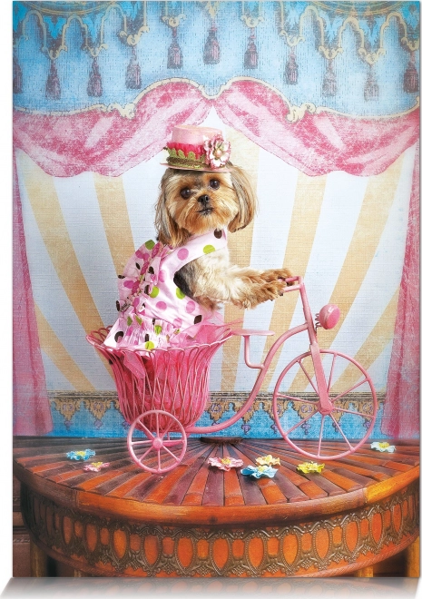 Puzzle Snílek cestovatel 500 dílků