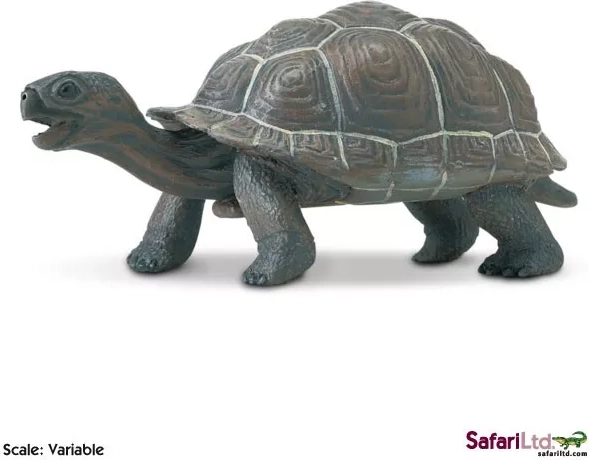 Safari Ltd. mládě želvy galapážské figurka - 1 kus