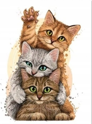 Diamantové malování Kočičí pyramida 30 × 40 cm