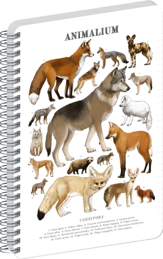 Notique spirálový blok Animalium – psovité šelmy, linkovaný, A4