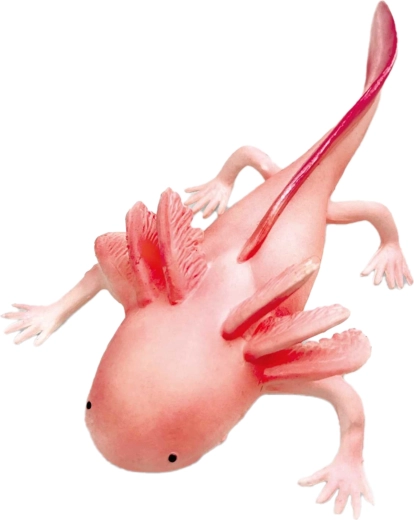 Gumový axolotl 19 cm