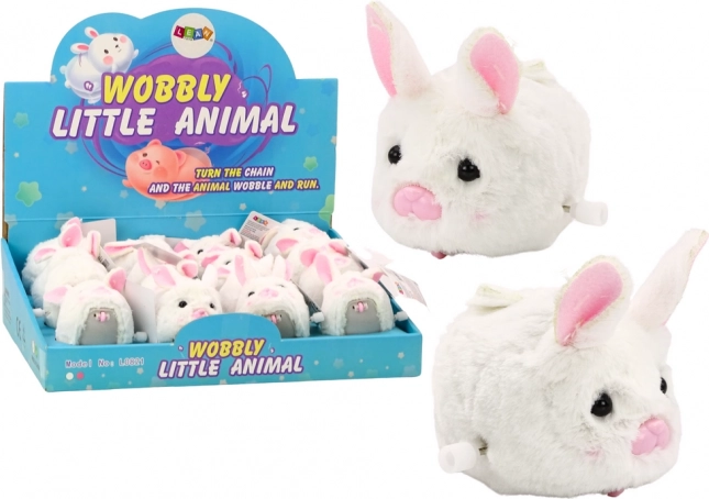 Větrný zajíček bílý