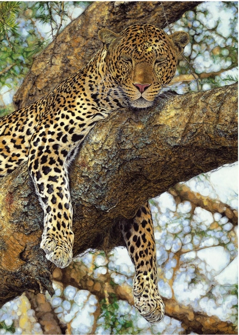 Puzzle Levhart 1000 dílků