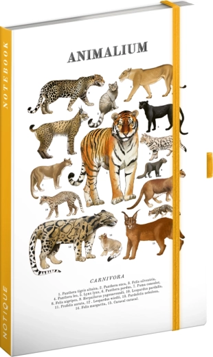 Notique Notes Animalium – kočkovité šelmy (linkovaný zápisník) 13 × 21 cm