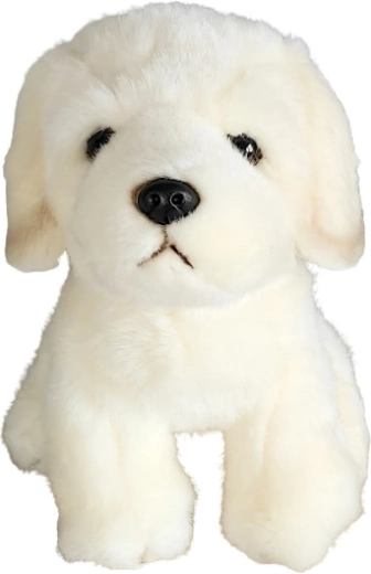 Plyšový pes golden retriever 19 cm