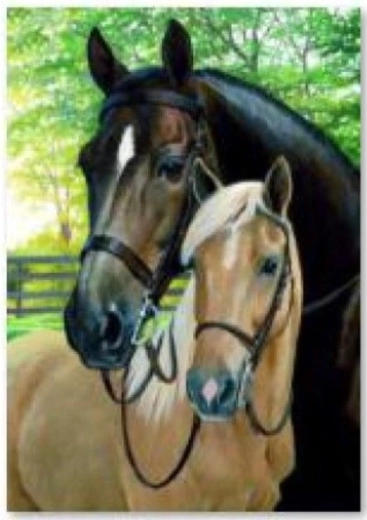 Diamantové vyšívání (diamond painting) koně 30 × 40 cm