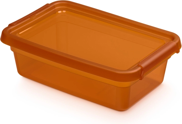 Basestore úložný box s víkem a klipsy amber 3 l (19 × 28 × 9 cm)