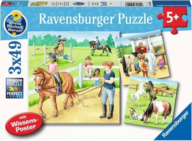 Ravensburger puzzle den u koní 3×49 dílků