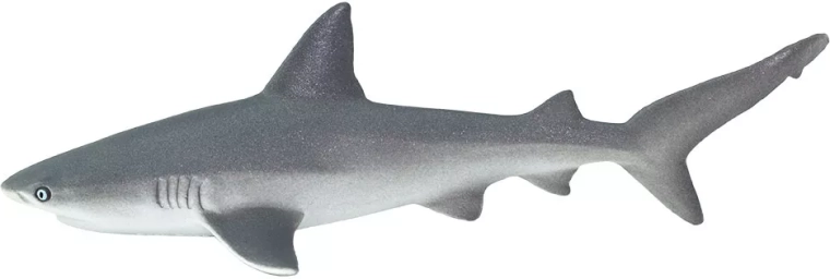 Safari Ltd. žralok spanilý (útesový) - 1 kus