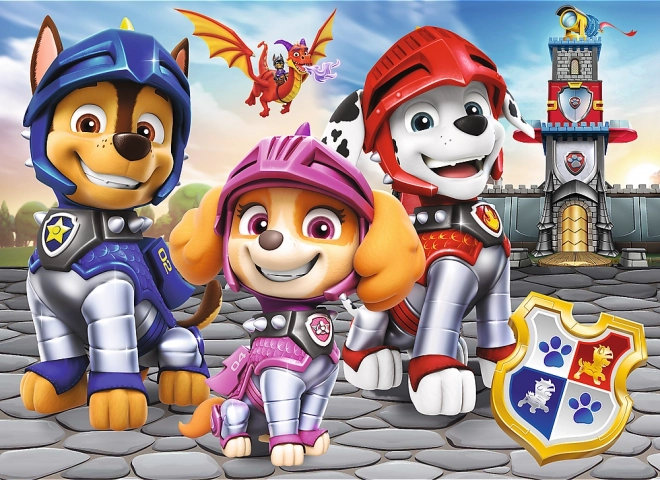 Puzzle miniMAXI PAW PATROL rytíři 20 dílků