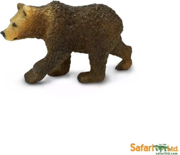 Medvěd grizzly – mládě