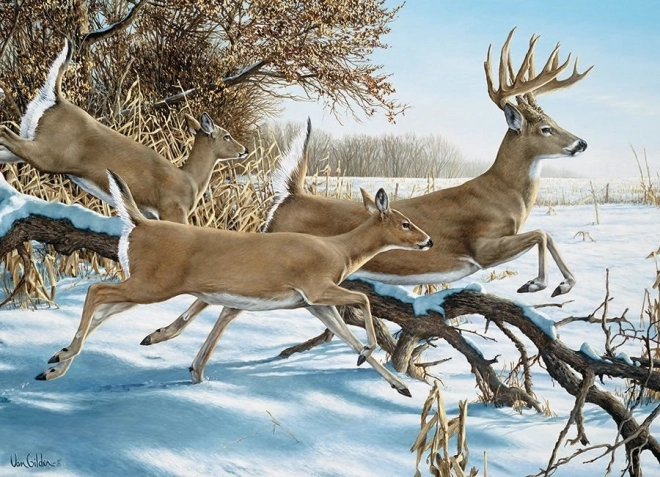 COBBLE HILL puzzle Útěk – 1000 dílků