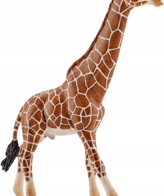 Figurka samce žirafy Schleich Wild Life