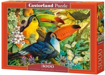 Puzzle 3000 prvků Ptáci Toucans Interlude