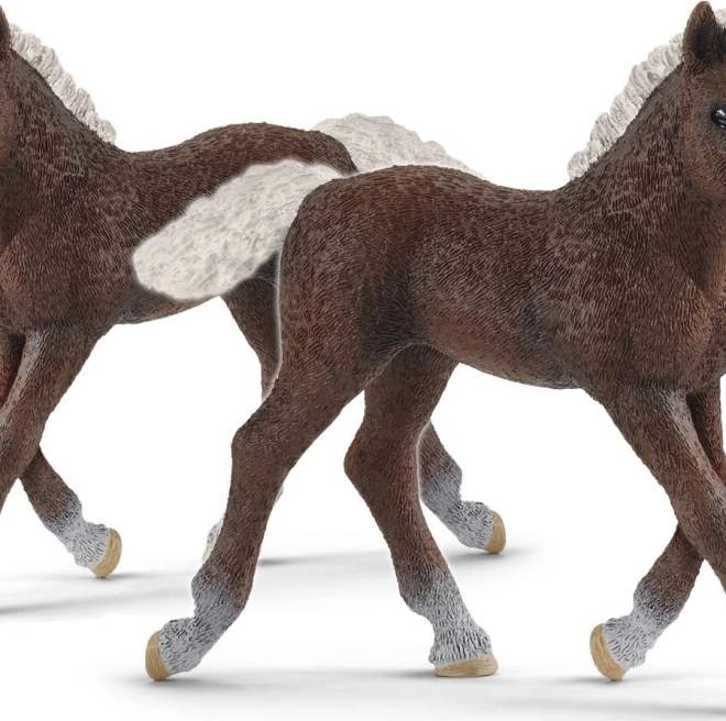 SCHLEICH HORSE CLUB schwarzwaldské hříbě – figurka