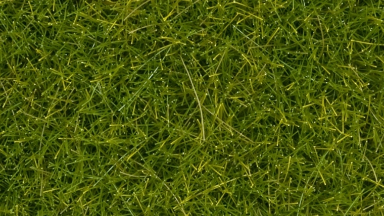 Statická tráva Noch divoká světle zelená 12 mm