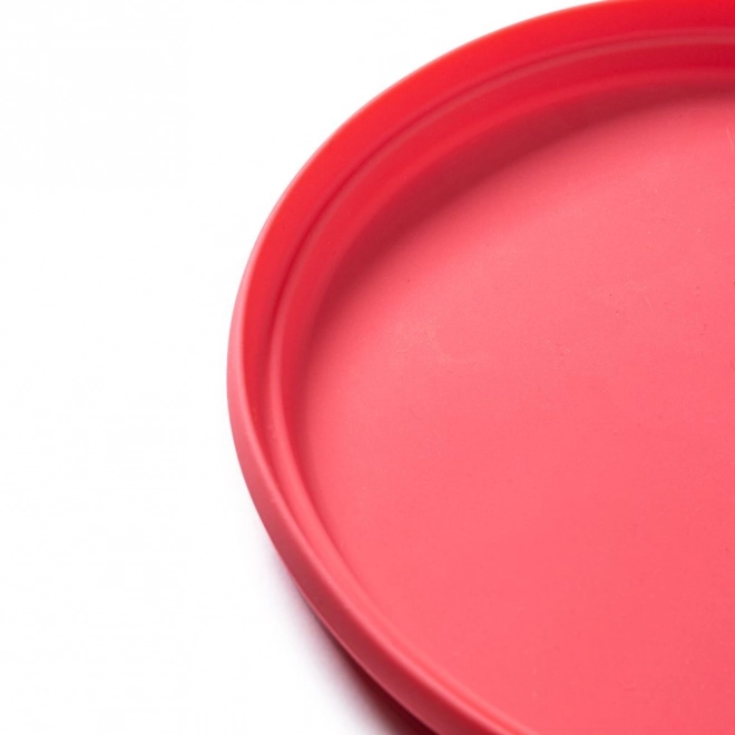Růžové frisbee Bigjigs Toys