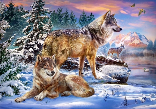 Puzzle 500 dílků - Vlčí země divů