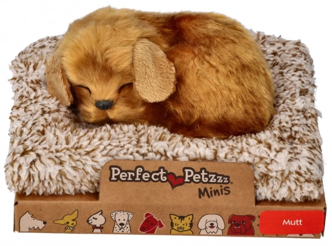 Malý psík Perfect Petzzz