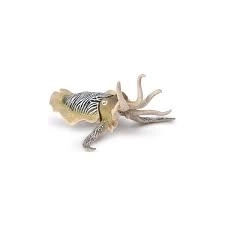 Sépie obecná figurka od Collecta