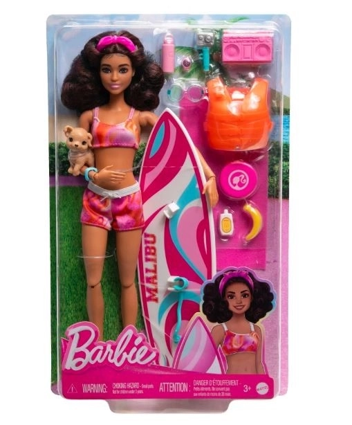 Barbie surfařka s doplňky