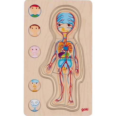 GOKI Vícevrstvé puzzle Lidské tělo Chlapec