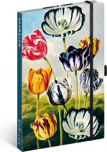 Notes Tulipány Kateřiny Winterové, linkovaný, 13 x 21 cm