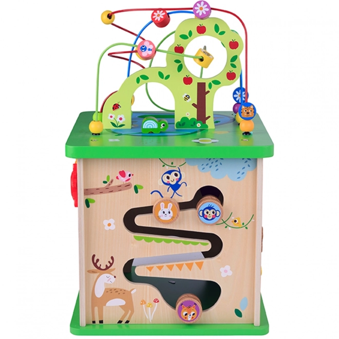 Edukativní kostka Tooky Toy