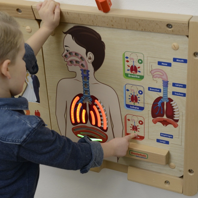 Vzdělávací tabule dýchací systém Montessori