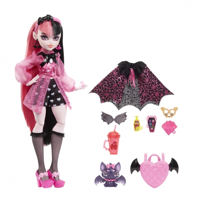 Monster High panenka s příslušenstvím