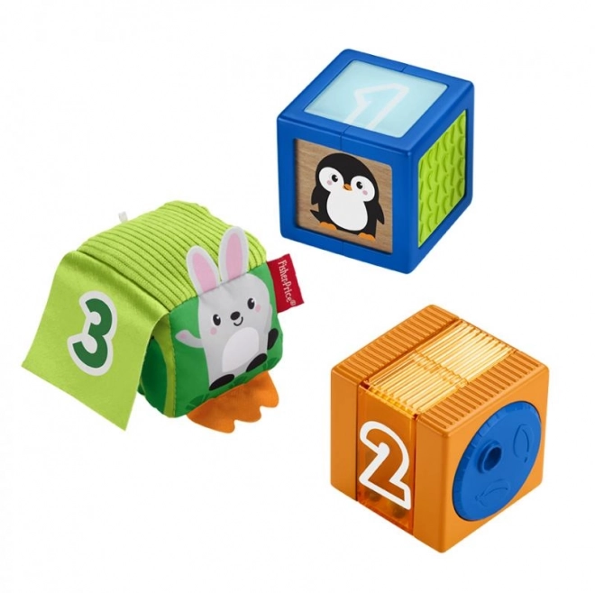 Fisher-Price Kostky pro rozvoj smyslů