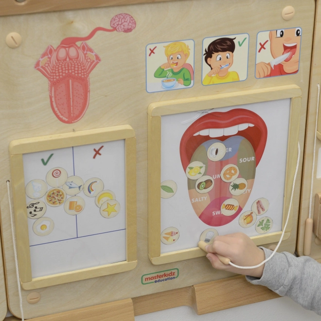 Edukativní tabule Chuťový smysl Montessori