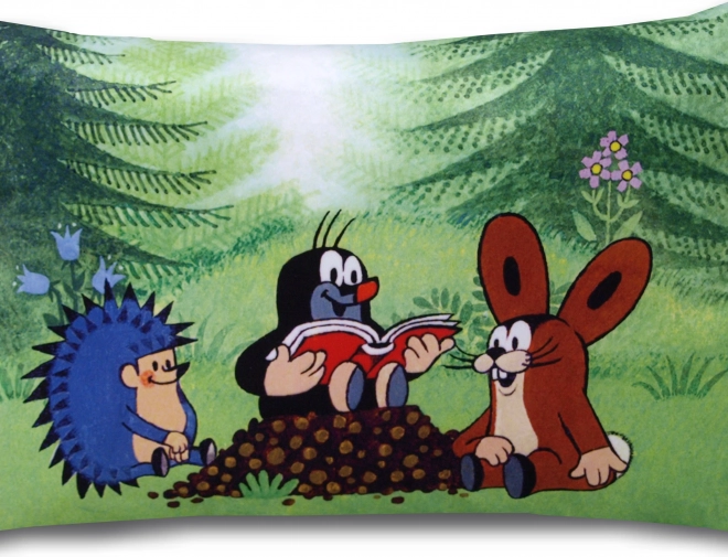 Polštář Krtek čtenáři 45x30